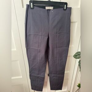 Everlane Women’s Side Zip Work Pant, Charcoal